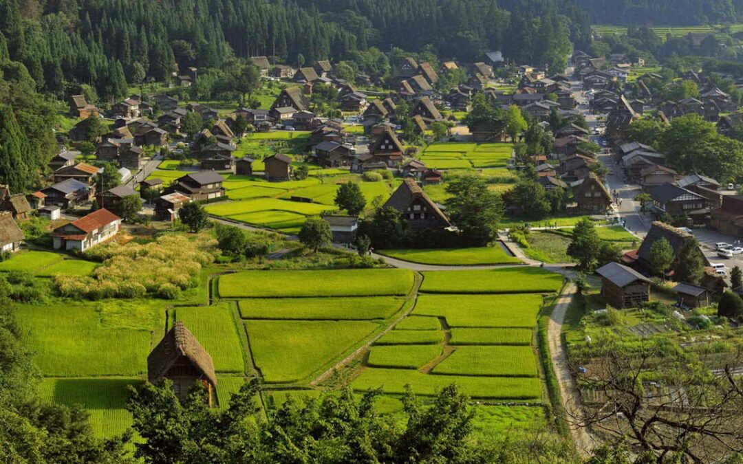 Gifu