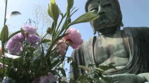 Visite guidee Tokyo et Kyoto