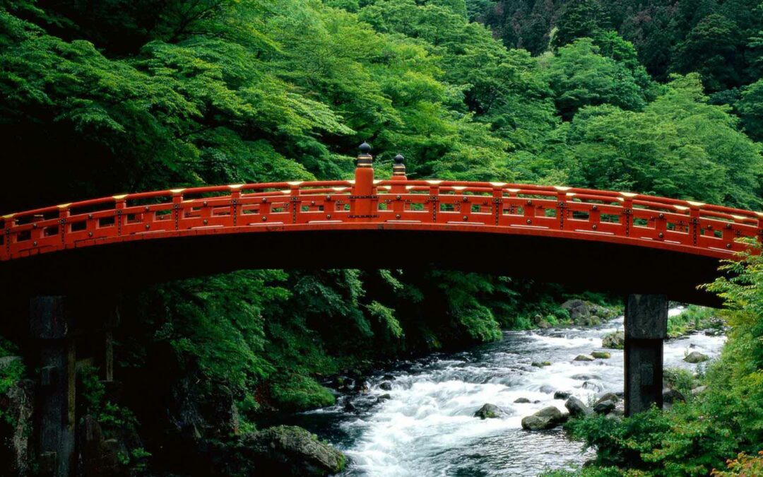 Shinkyo
