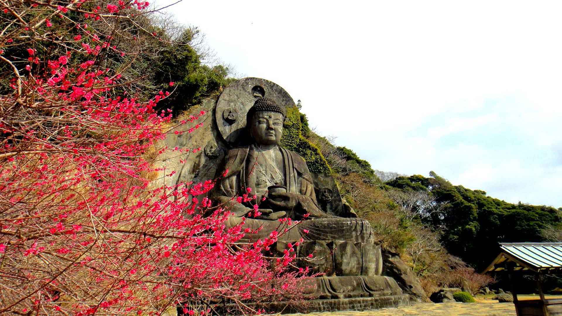 excursion nokogiri visite Tokyo sejour japon