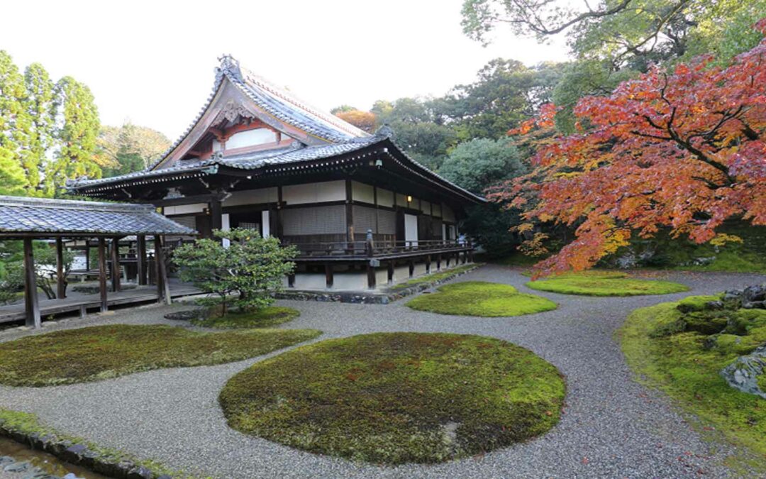 Daigo Ji