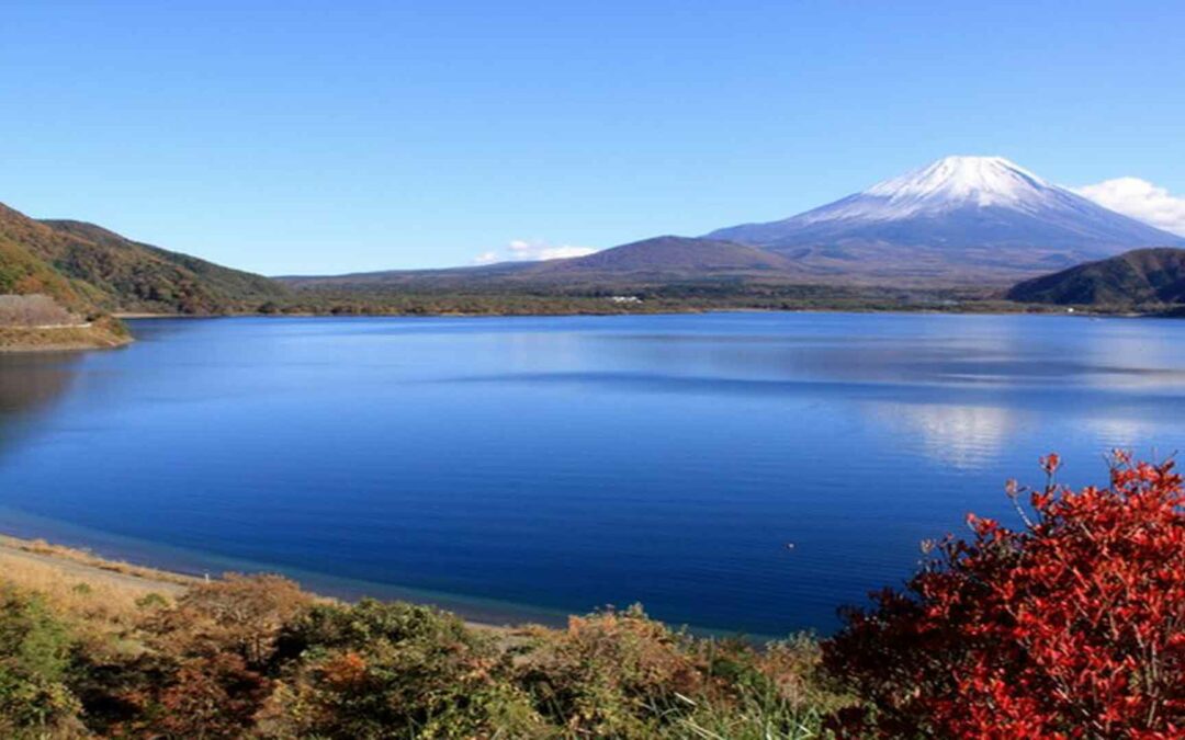 Fujigoko