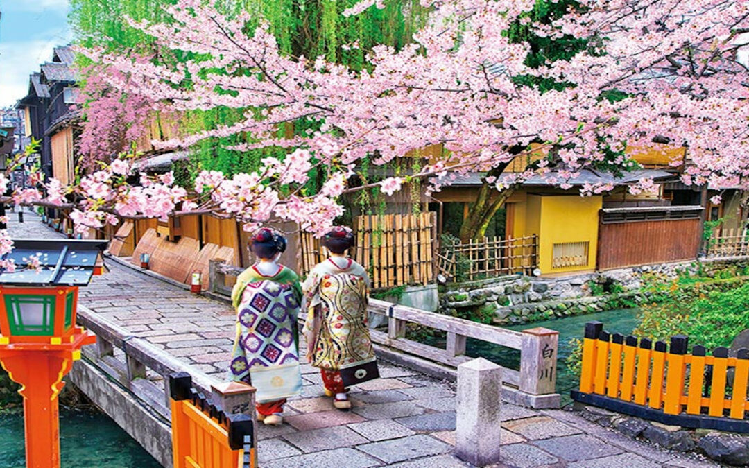 Ou contempler les cerisiers a Kyoto en 2020