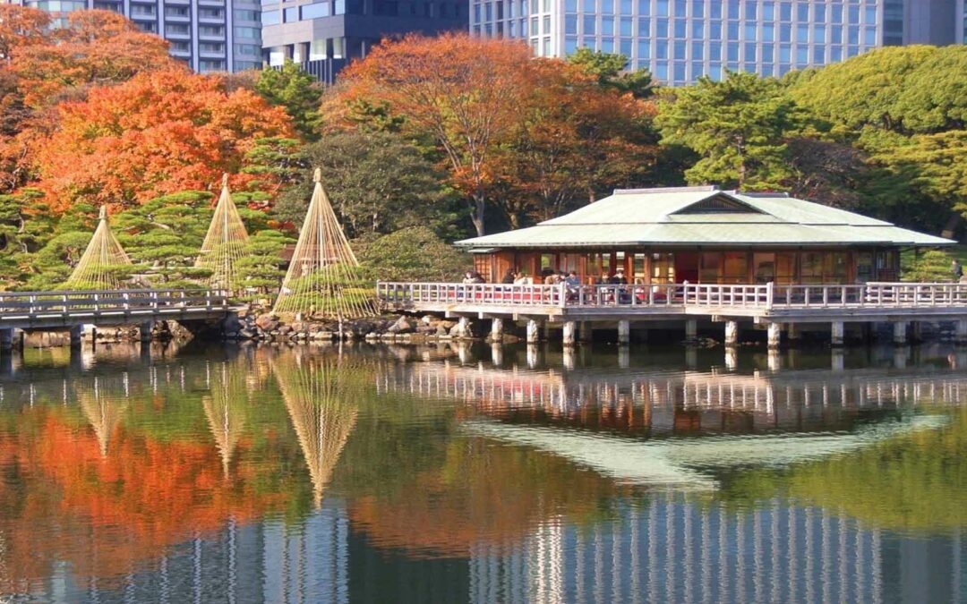 Hamarikyu Teien