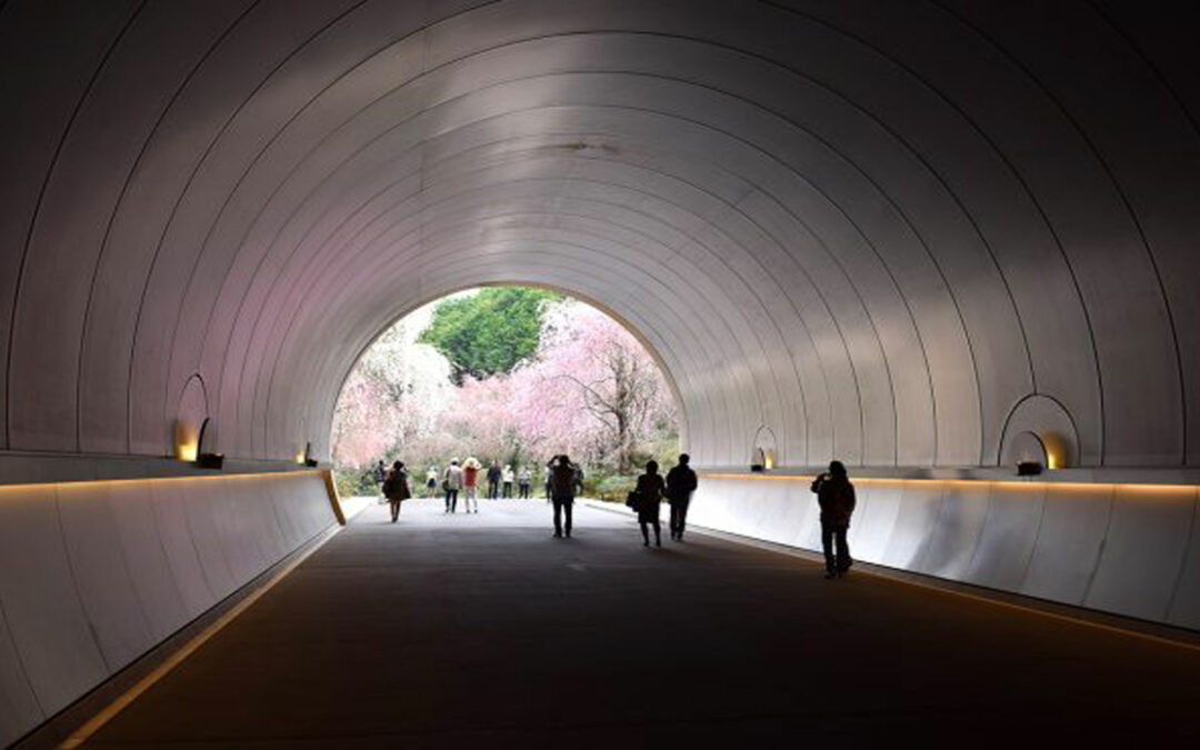 Miho Museum