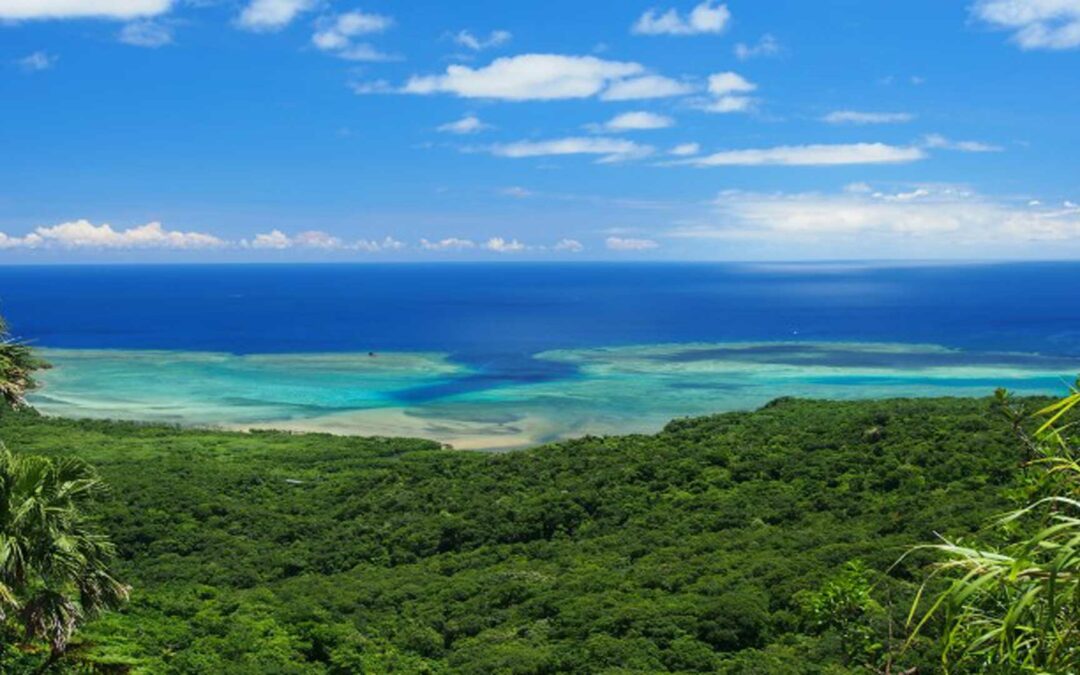Iriomote