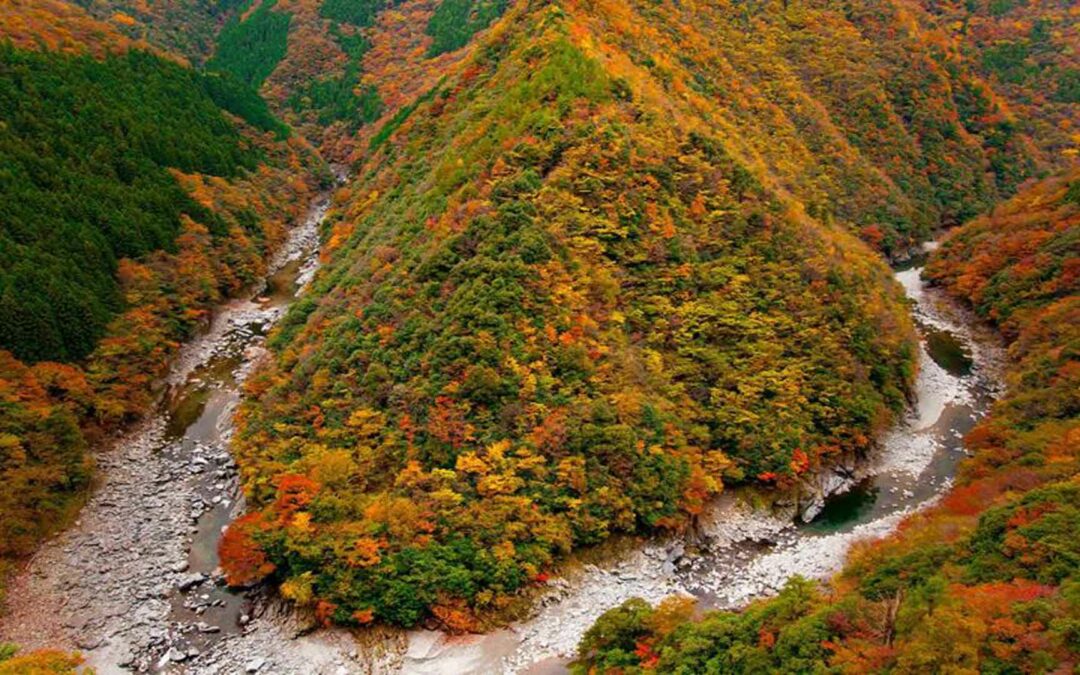 Tokushima