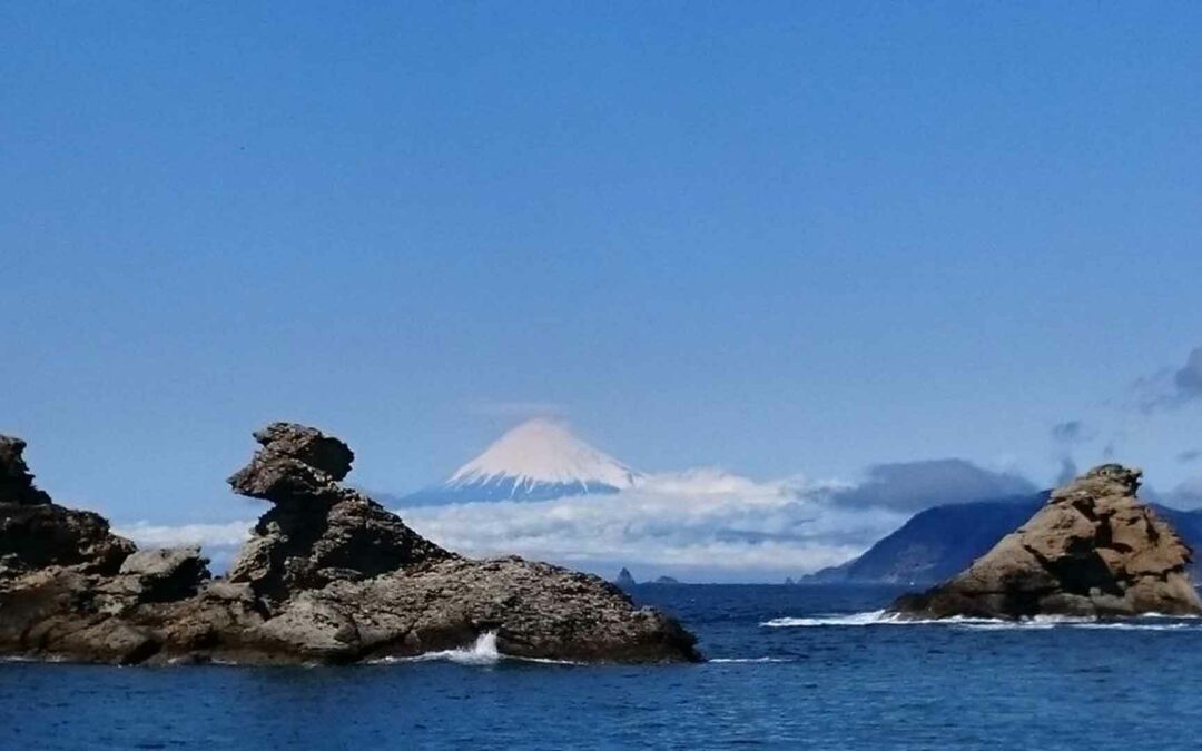 Izu Hanto