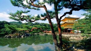 Visite guidée Kinkakuji pavillon or Kyoto sejour Japon