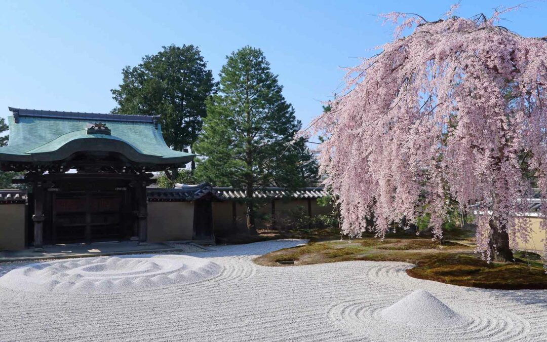 Kodai Ji