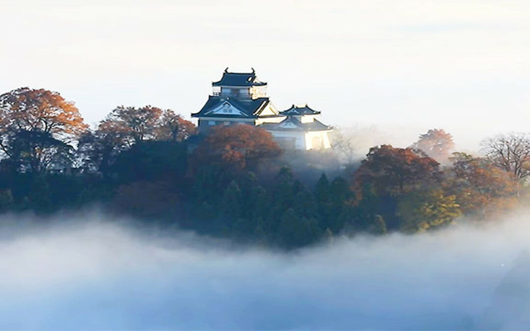 Fukui