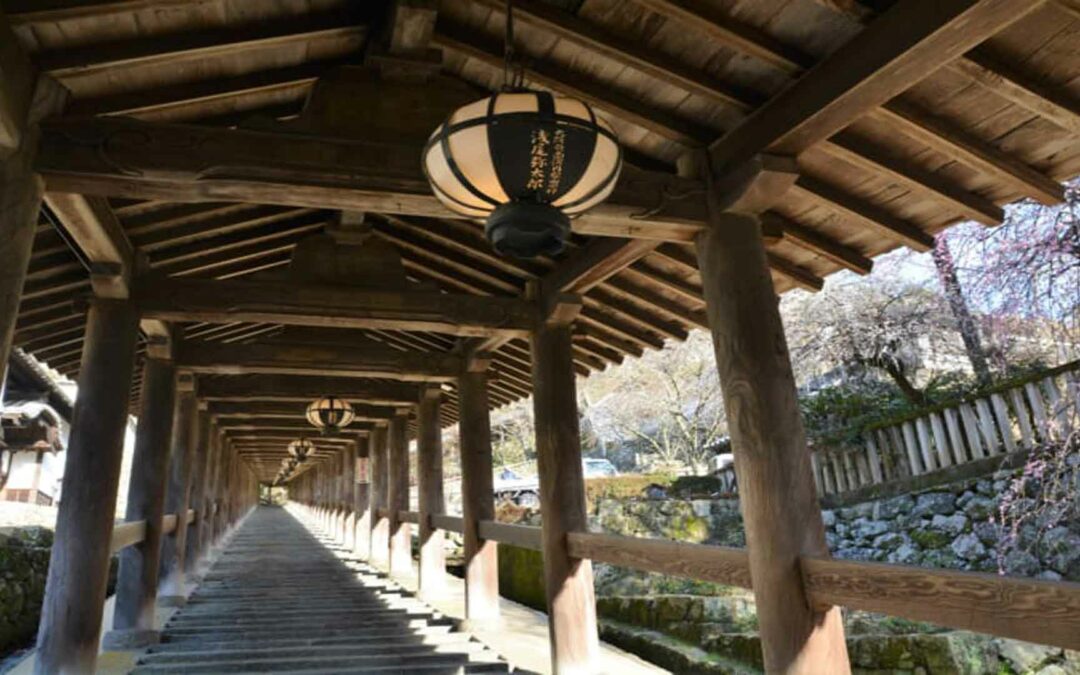 Hase Dera