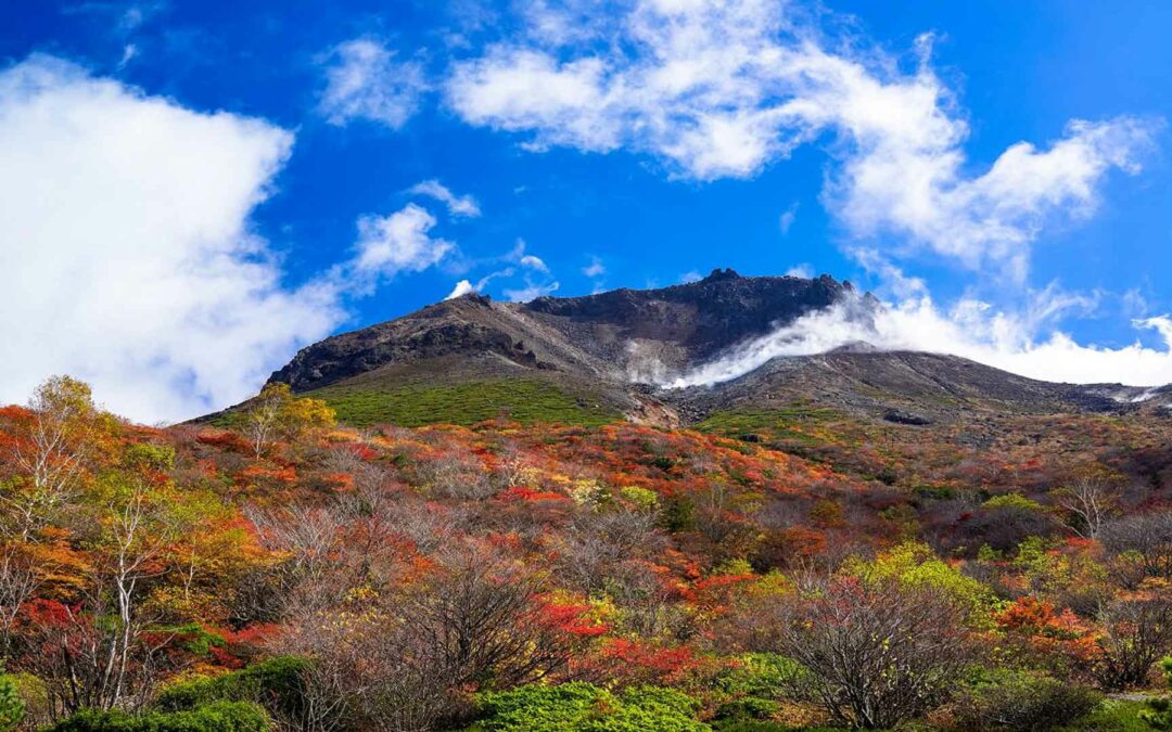 Nasu