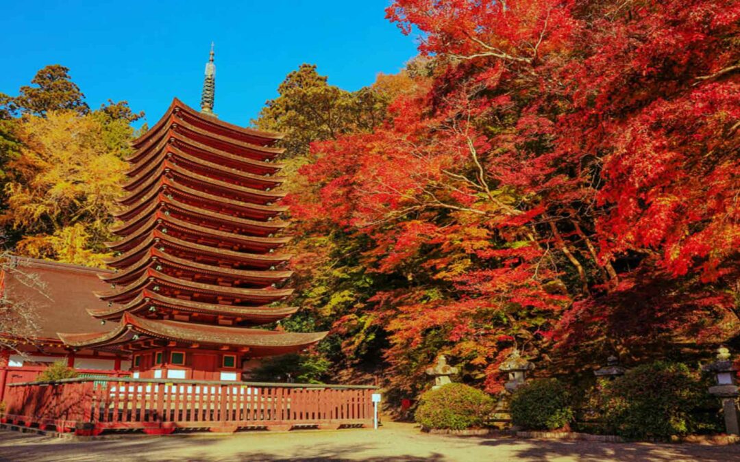 Tanzan Jinja