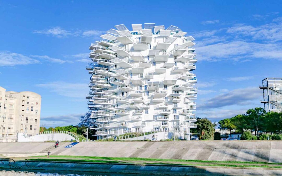 FUJIMOTO Sou