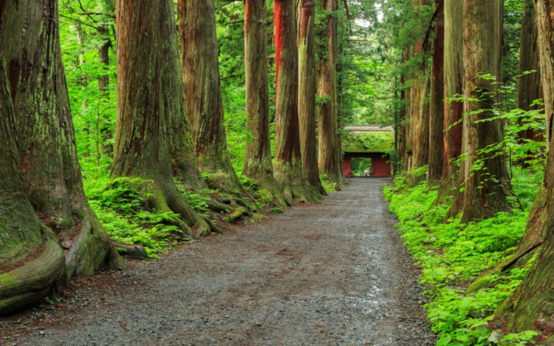 Togakushi