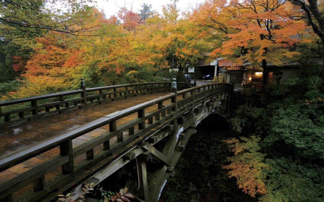 Yamanaka