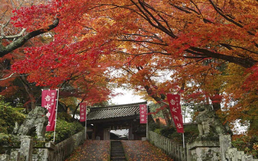 Yoshimizu Jinja